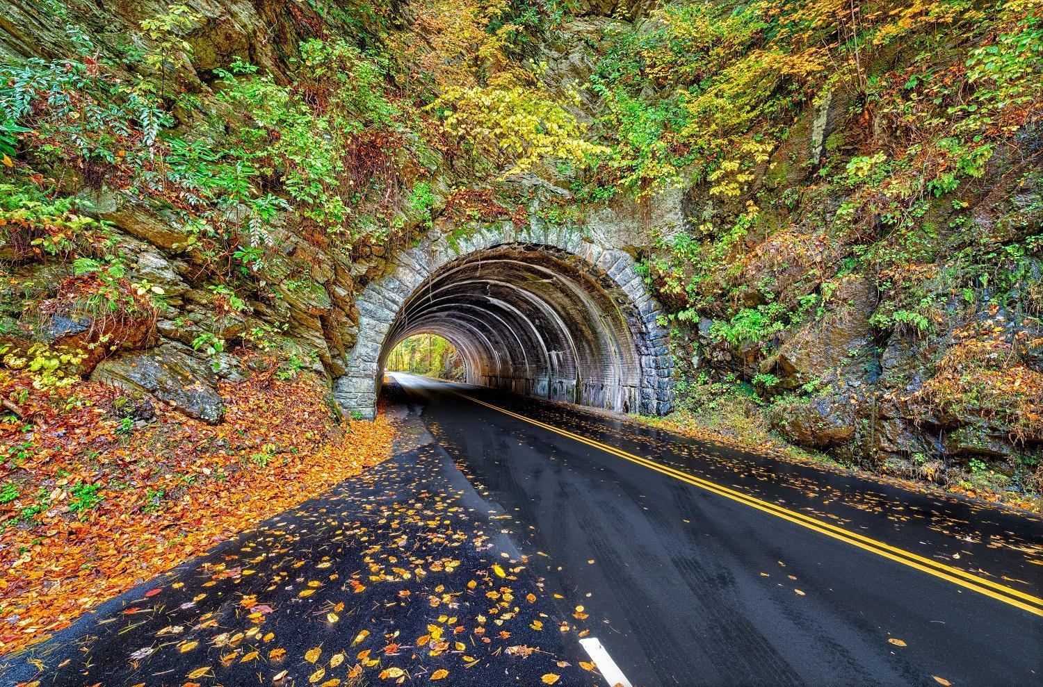Maple Trails, Wifi, 1089 Free Tickets Each Paid Day, Dollywood And More Gatlinburg Exterior foto